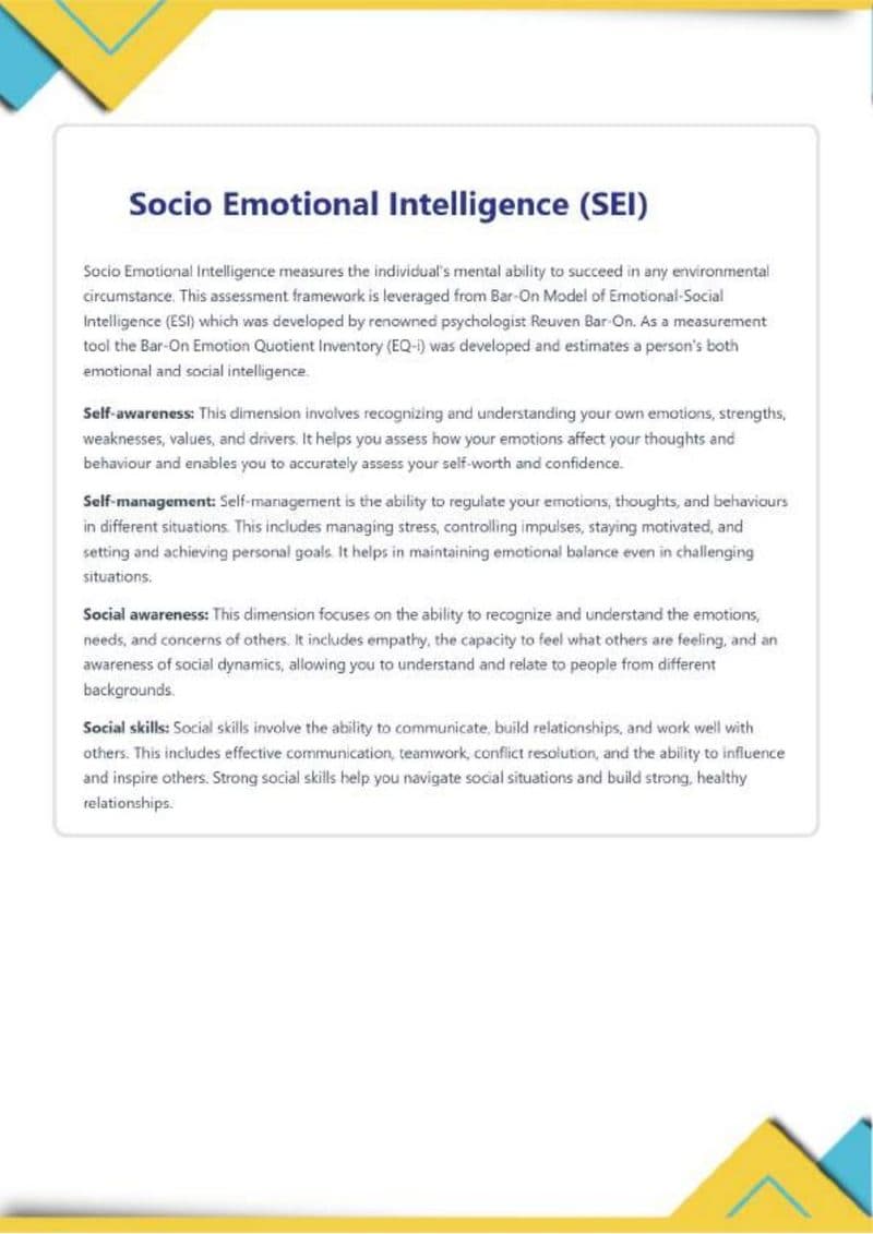 Page 11 of SkillSphere sample report