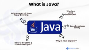 Java Developer what is java developer how to become Java Developer Java Developer salary Java Developer skills Java Developer job Java Developer internship